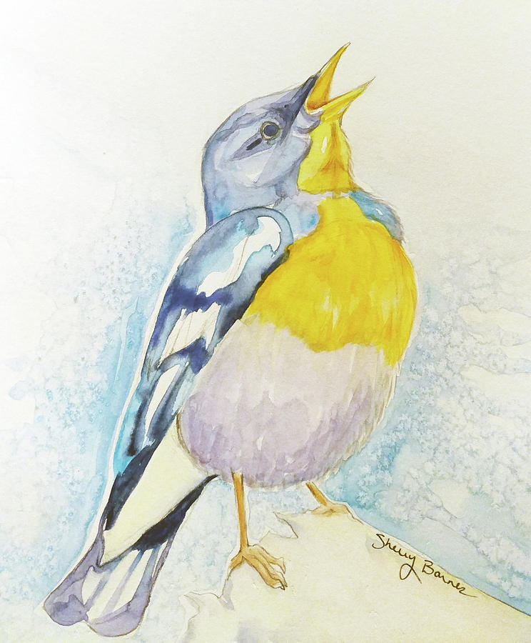 744x900 Blue And Yellow Songbird Painting By Sherry Barnes - Songbird Painting
