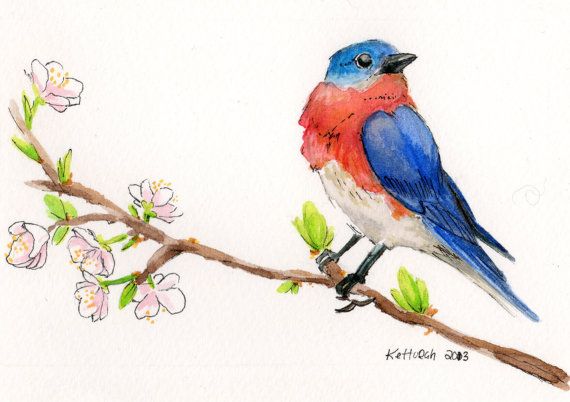 570x402 Bluebird Watercolor Painting, Oswoa, Songbird Art - Songbird Painting
