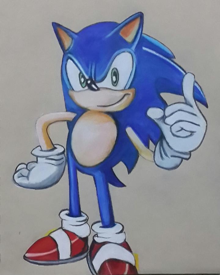 720x900 Sonic The Hedgehog Illustration Art Painting By Vaibhav Salvi - Sonic Painting