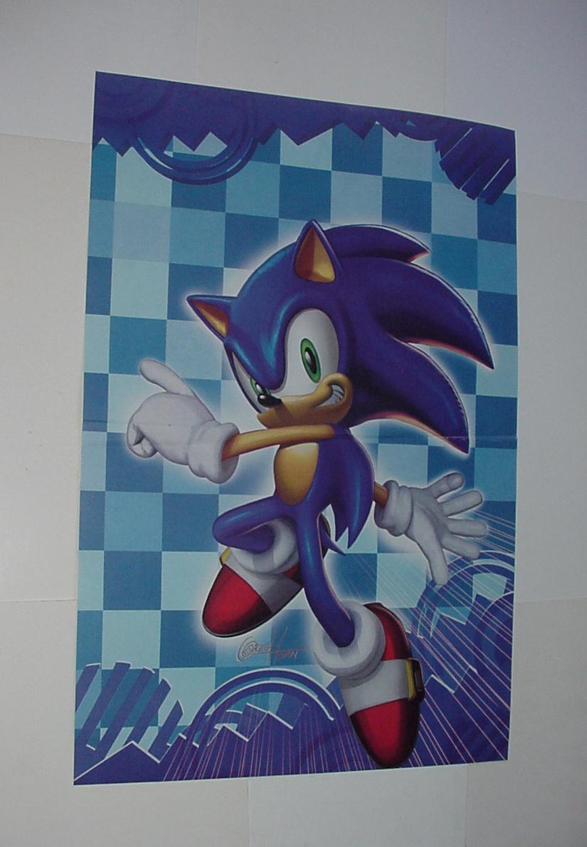 825x1189 Sonic The Hedgehog Poster - Sonic Painting