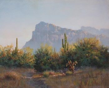350x282 Bud Heiss Paintings - Sonoran Desert Painting
