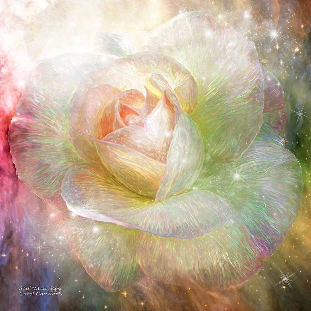 1000x1000 Soul Mate Rose Print By Carol Cavalaris Redbubble - Soul Of The Rose Painting