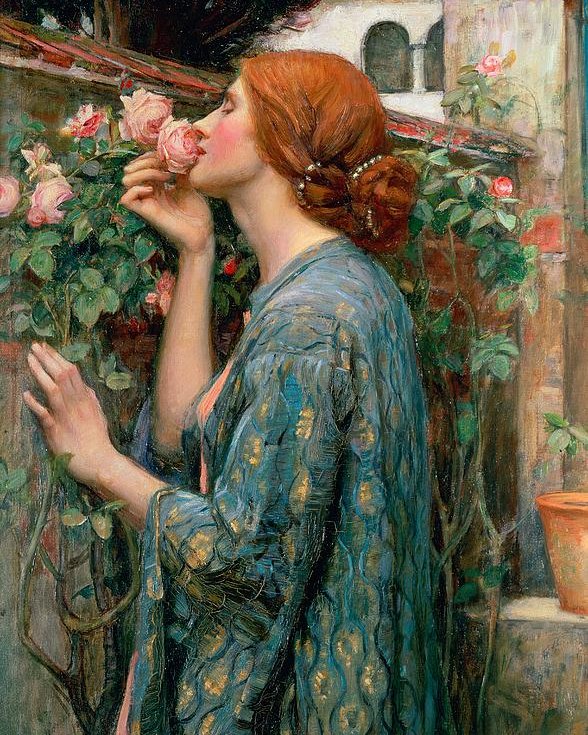 588x735 The Soul Of The Rose Poster By John William Waterhouse - Soul Of The Rose Painting