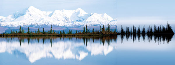 600x225 Sound Wave Artwork Anna Marinenko - Sound Wave Painting