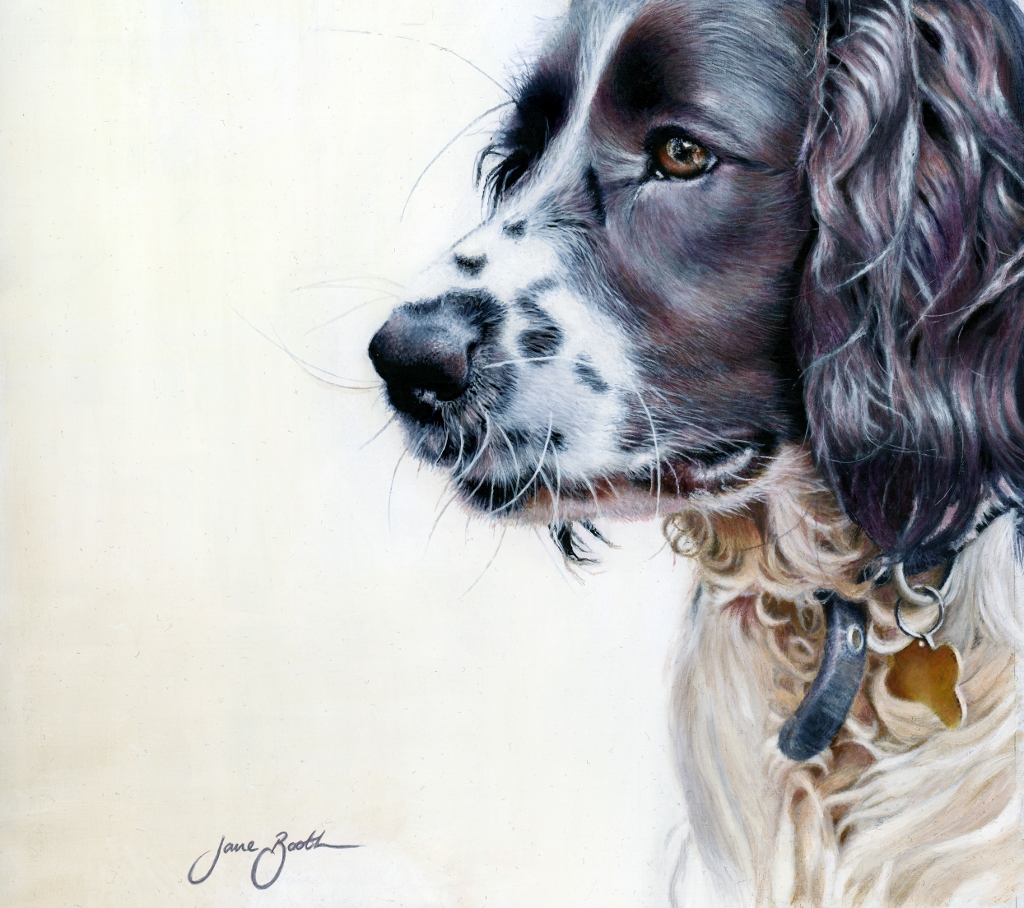 1024x908 Dogs Jane Booth Fine Art Paintings - Spaniel Painting