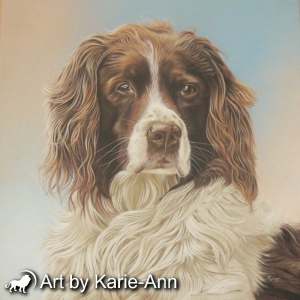 600x600 Spaniel Dog Painting In Pastel From Art By Karie Ann - Spaniel Painting