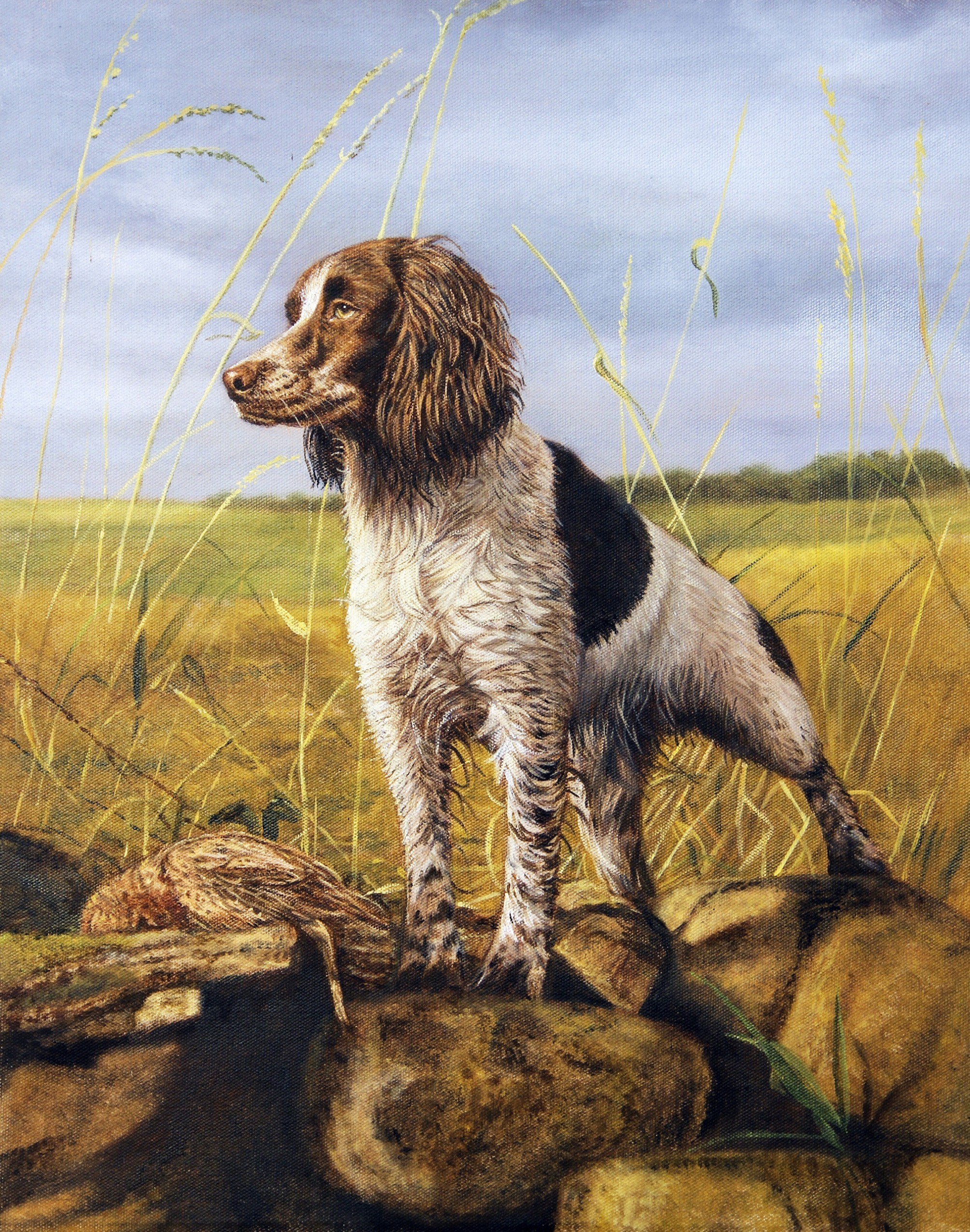 2010x2552 Springer Spaniel - Spaniel Painting