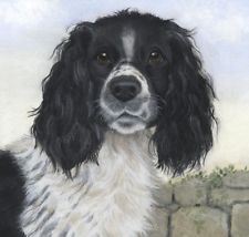 225x214 Springer Spaniel Painting Ebay - Spaniel Painting