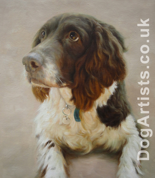 524x600 Springer Spaniel Paintings Pet Artists Dog Artists - Spaniel Painting