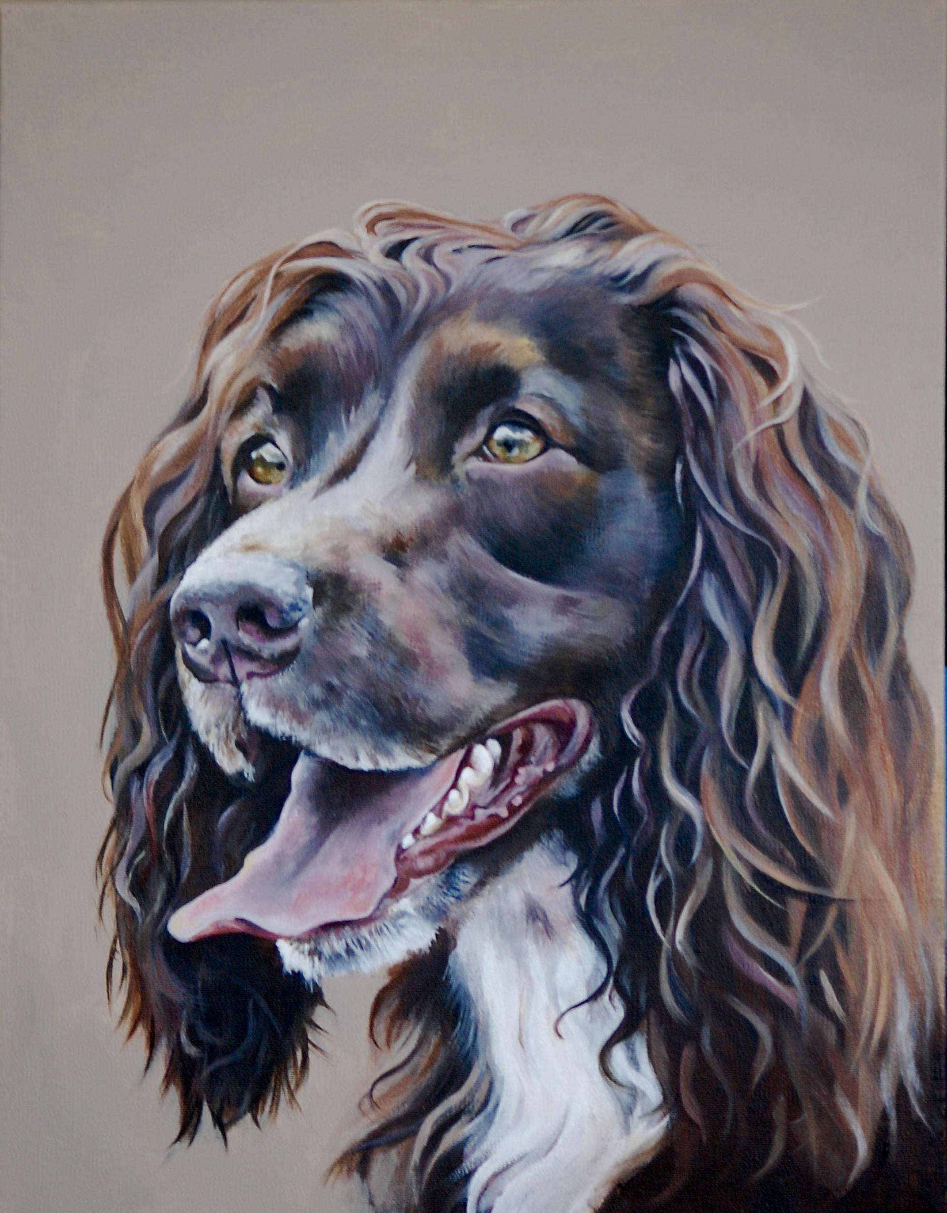 1862x2386 Portfolio Of Artwork Painted Using The Acrylic Medium - Spaniel Painting