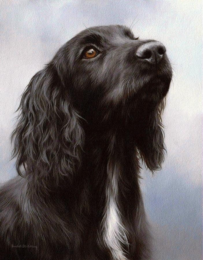 703x900 Cocker Spaniel Painting Painting By Rachel Stribbling - Spaniel Painting