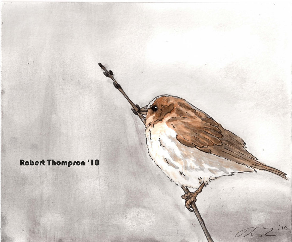 982x813 House Sparrow Color Painting By Grandparob112 - Sparrow Painting