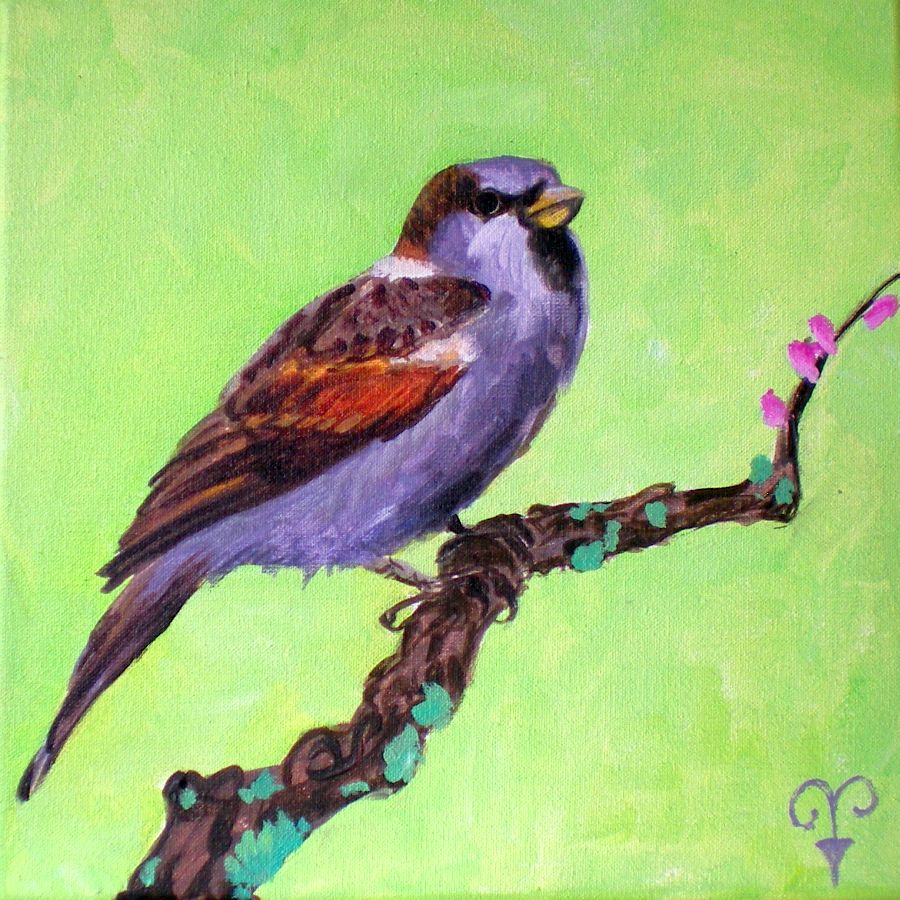 900x900 Little Sparrow Aafke Art - Sparrow Painting