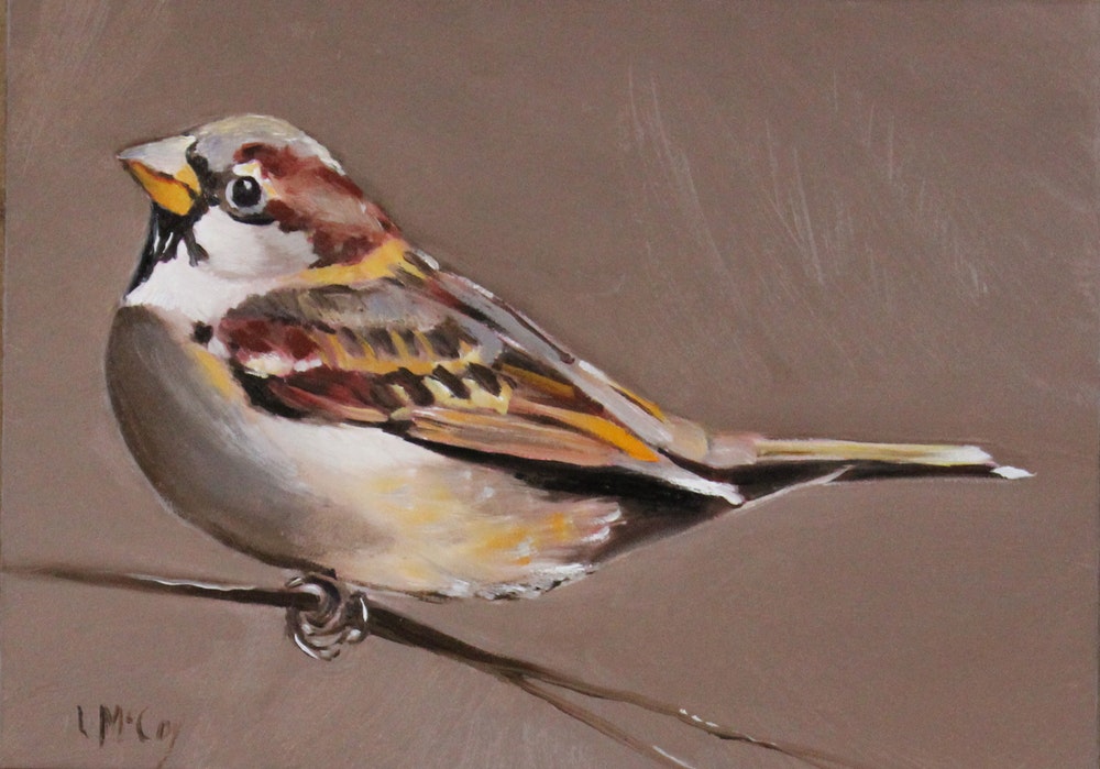1000x699 Nurtured, Sparrow Oil Painting By Artist Linda Mccoy, - Sparrow Painting