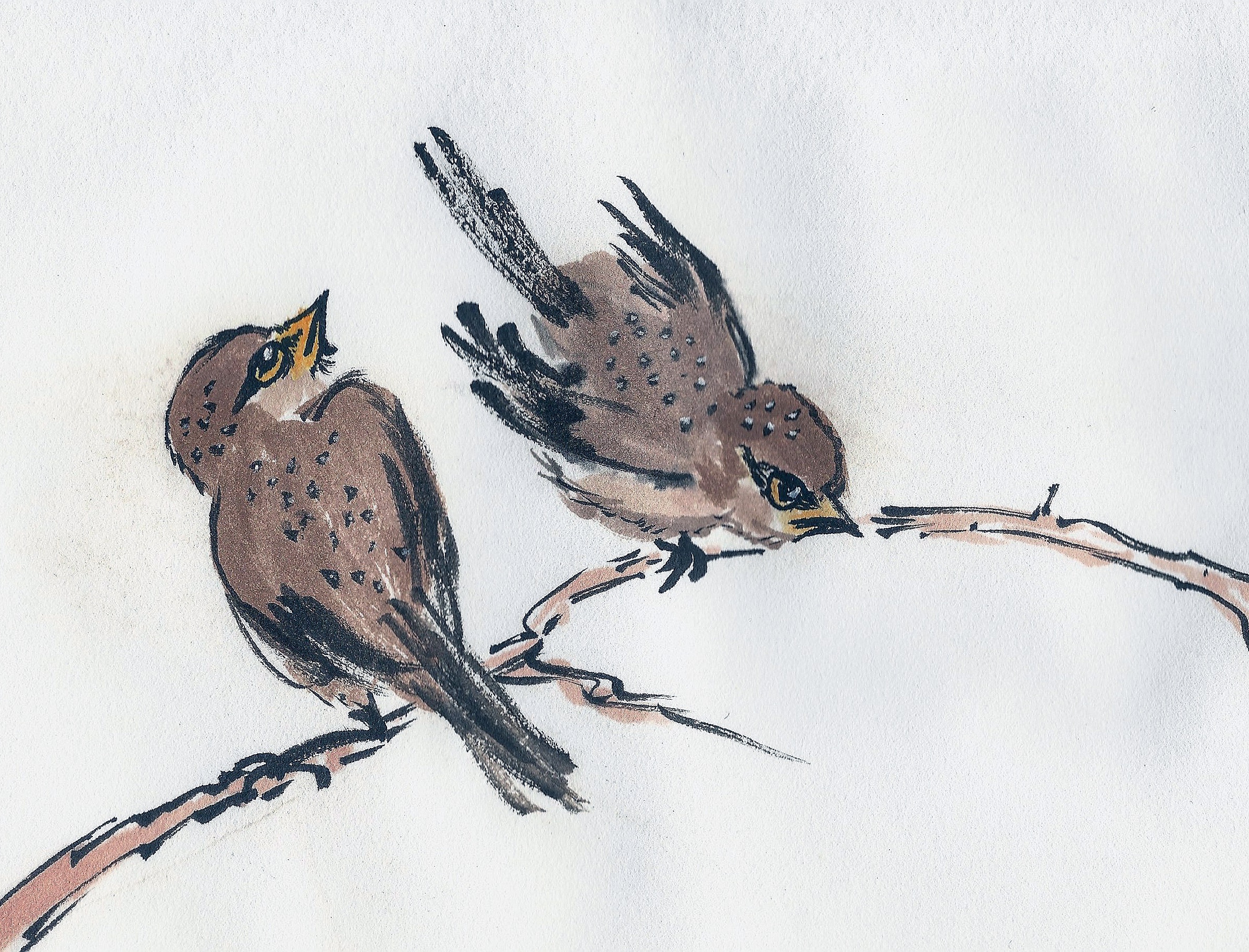 2381x1815 All In The Eyes Painting Sparrow Followmybrushmarks - Sparrow Painting