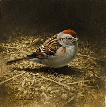 366x369 American Tree Sparrow - Sparrow Painting