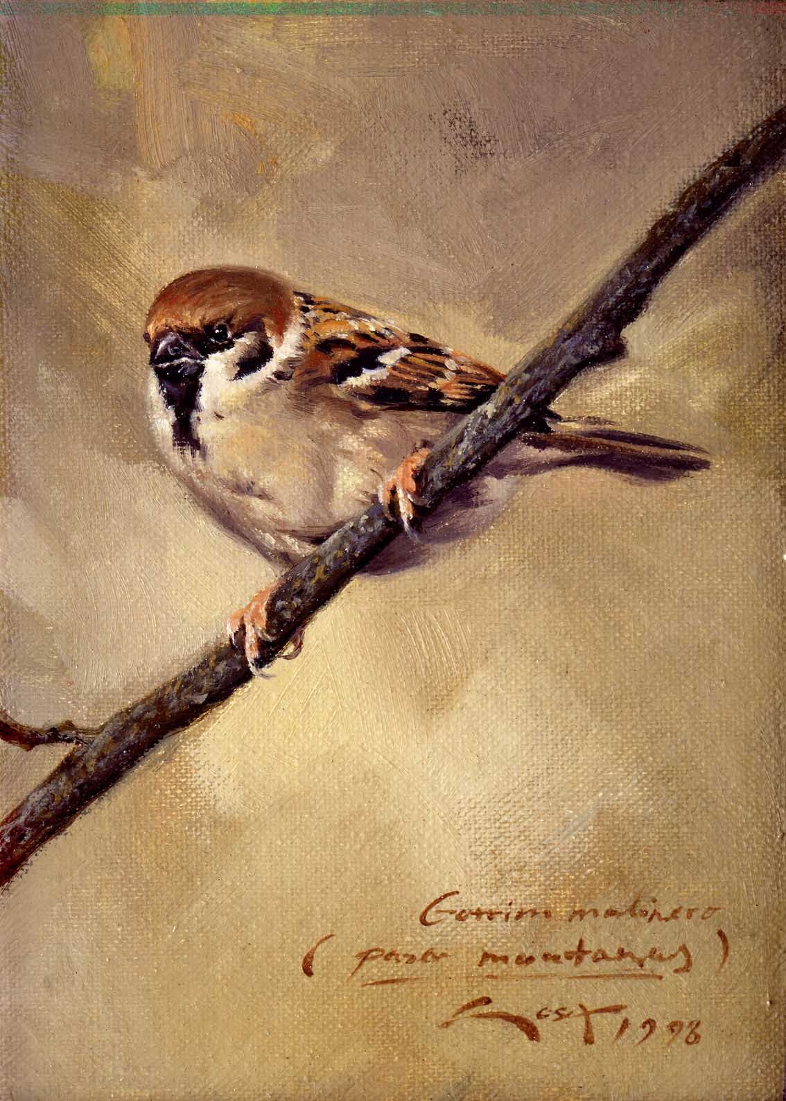 1134x1588 Oil Painting Sparrow - Sparrow Painting