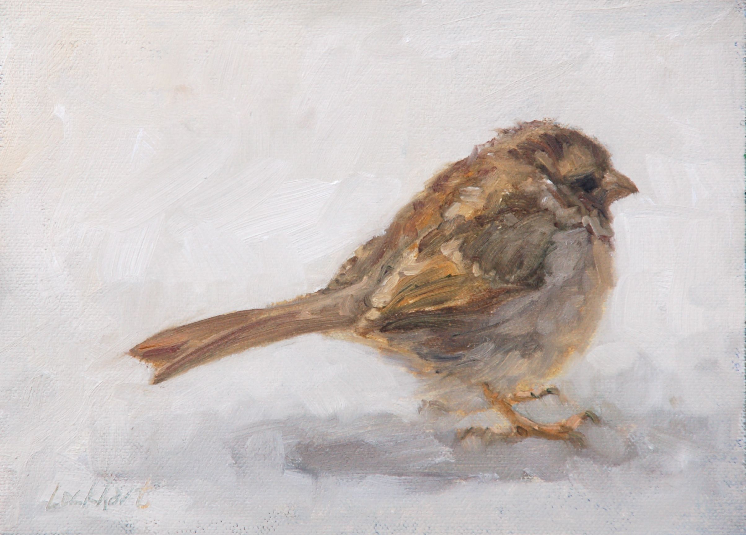 2408x1728 Sparrow Oil Paint - Sparrow Painting