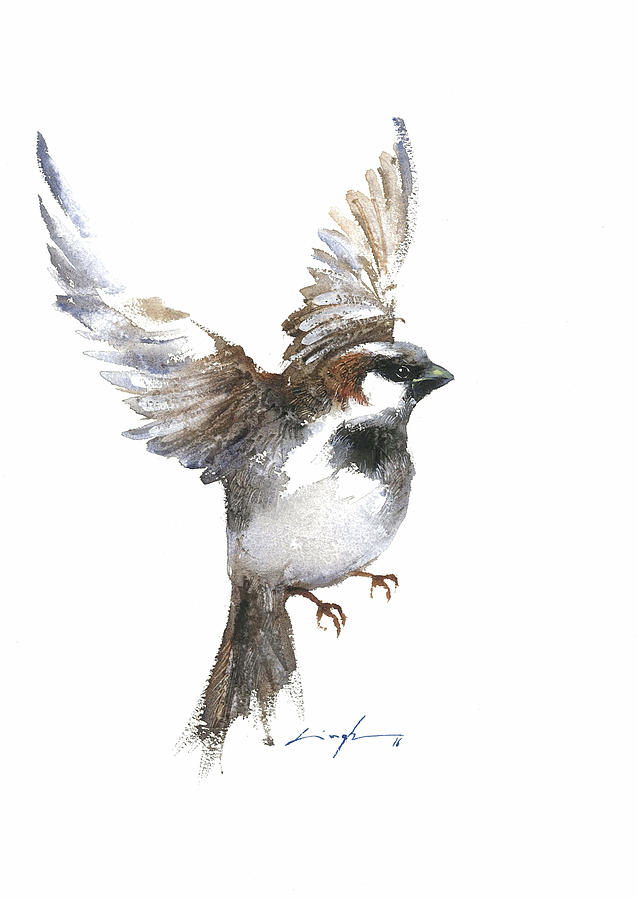 637x900 Flying Sparrow Watercolor Painting By Nitin Singh - Sparrow Painting