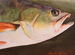 300x220 Speckled Trout Paintings Fine Art America - Speckled Trout Painting