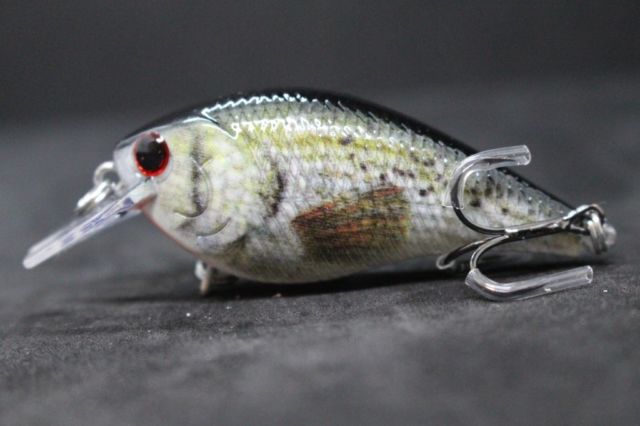 640x426 Crankbait Fishing Lures Wide Wobble Slow Floating Lifelike - Speckled Trout Painting