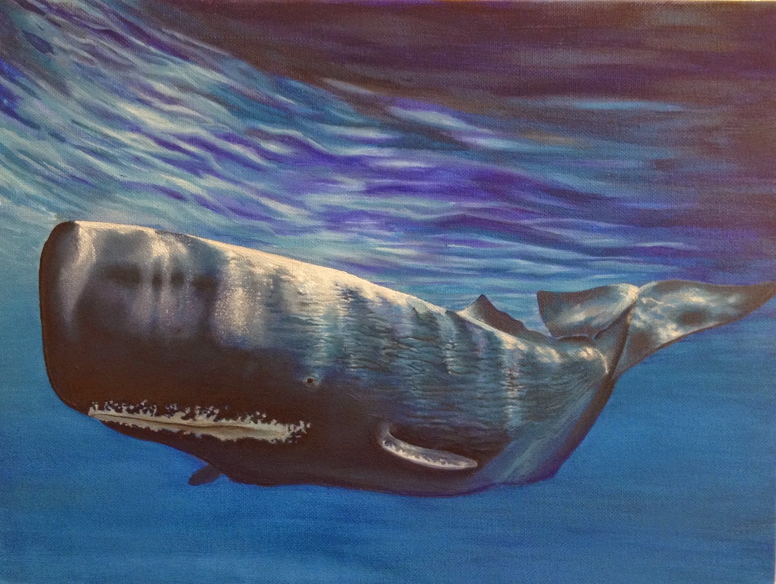 1600x1205 Philip Ashley Art - Sperm Whale Painting