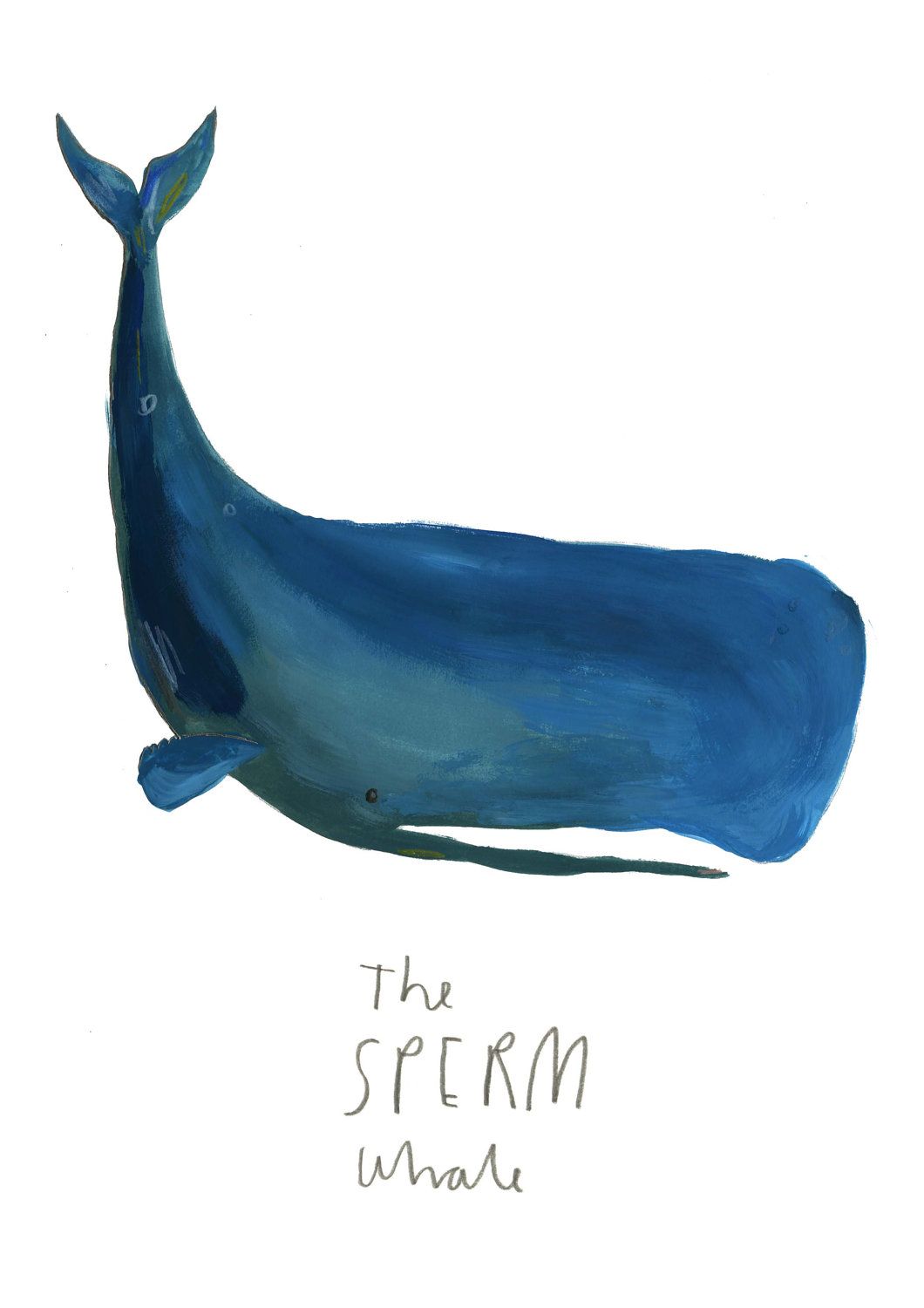 1060x1500 Sperm Whale Limited Edition Illustration Print By Faye Bradley - Sperm Whale Painting