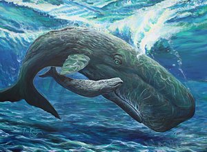 300x221 Sperm Whale Paintings - Sperm Whale Painting