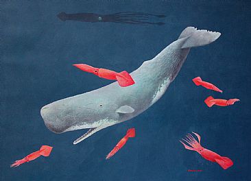 366x264 Sperm Whale And Squid - Sperm Whale Painting