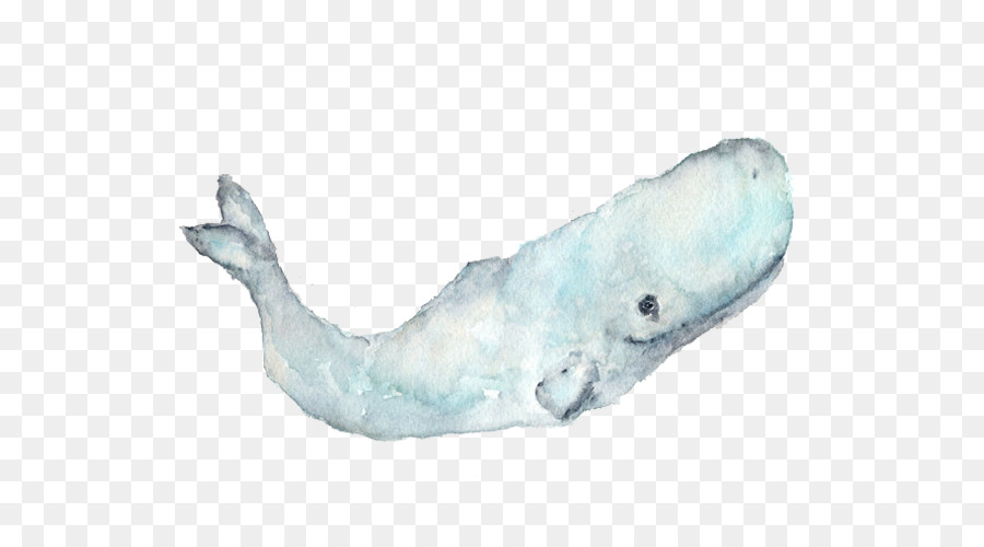 900x500 Sperm Whale Paper Watercolor Painting - Sperm Whale Painting