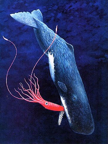366x485 Sperm Whale And Giant Squid - Sperm Whale Painting