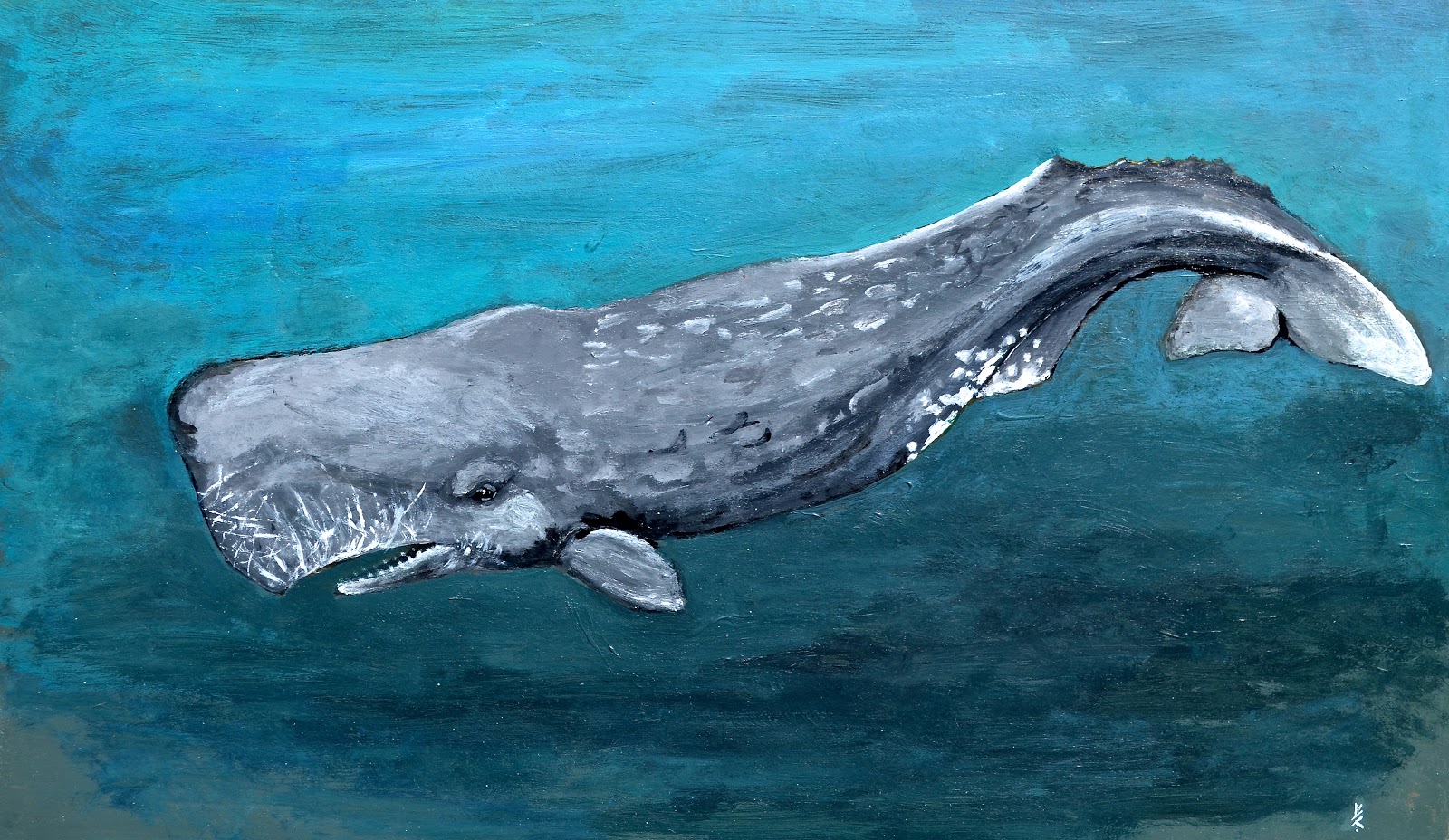 1600x928 Whale Spot Sperm Whale - Sperm Whale Painting