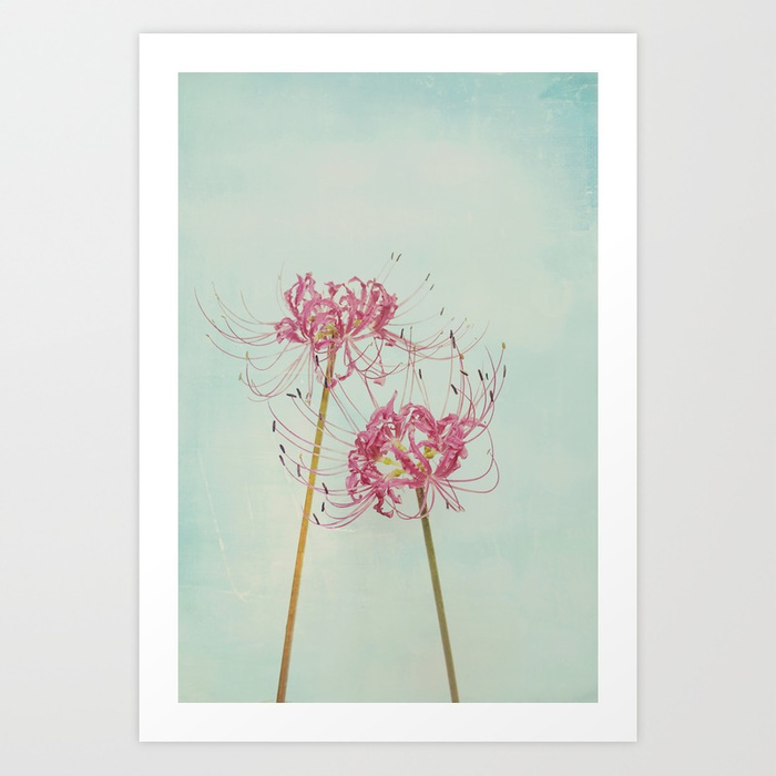 700x700 Spider Lily Autumn Botanical Art Print By Chickensinthetrees - Spider Lily Painting