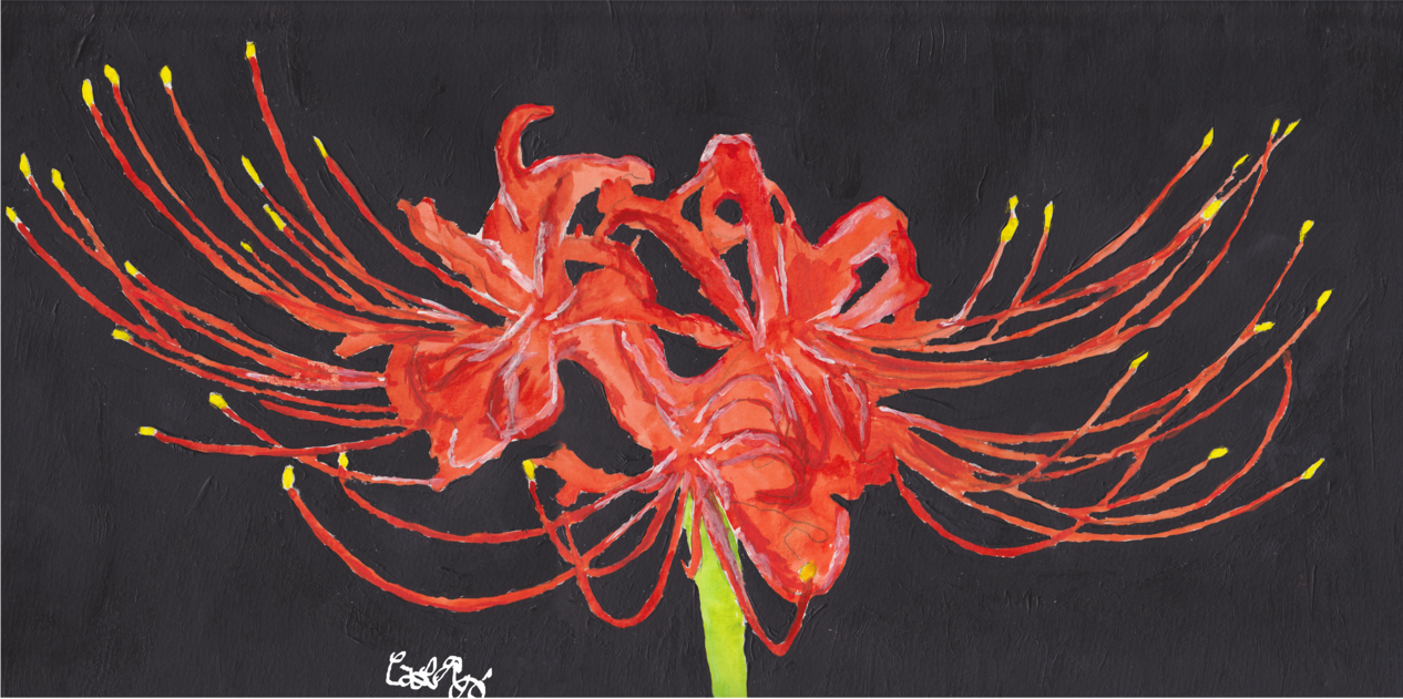 Spider Lily Painting At Explore Collection Of