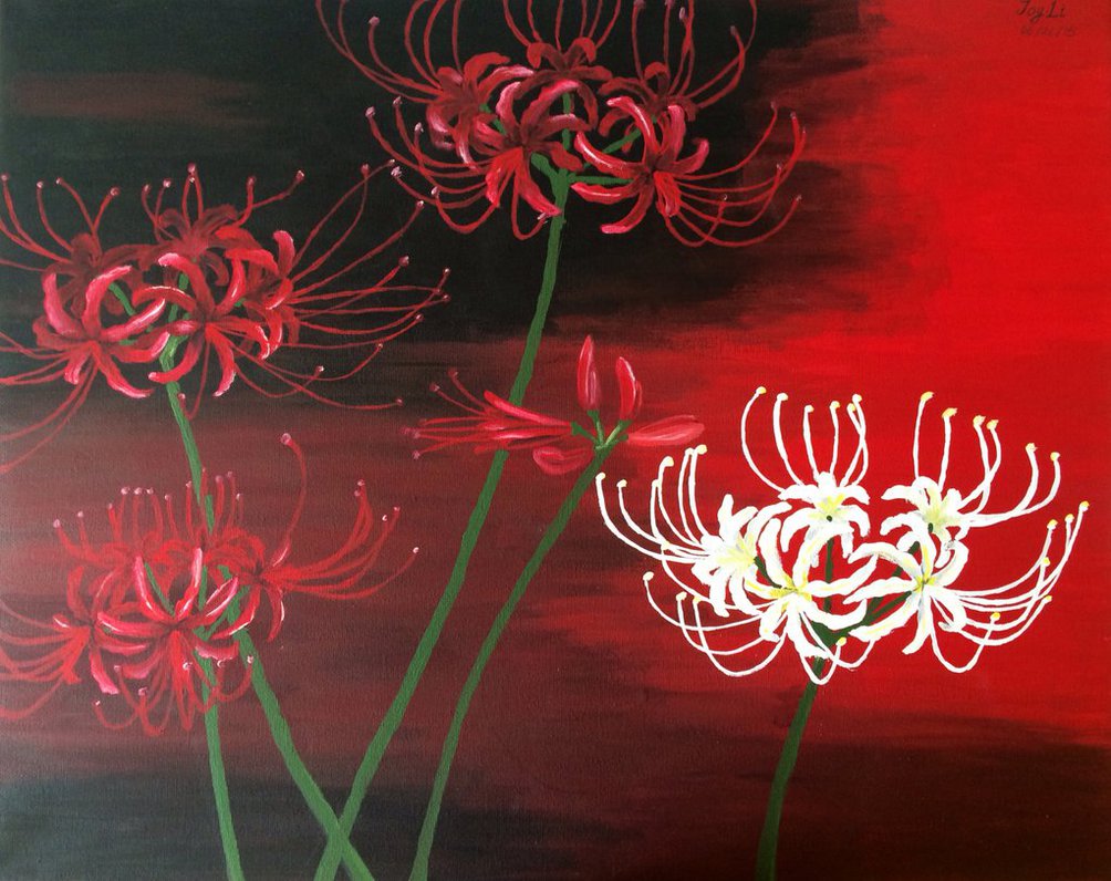 1004x796 Spider Lily By Zoey1134joyful - Spider Lily Painting