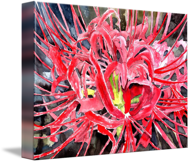 650x556 Red Flowers Spider Lily Flower By Derek Mccrea - Spider Lily Painting