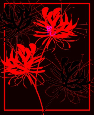 320x391 Lycoris Radiata Spider Lily - Spider Lily Painting