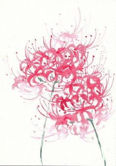 235x334 Lycoris Radiata Flowers Flowers, Plants And Gardens - Spider Lily Painting