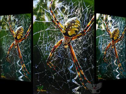 411x307 Insect And Spider Paintings By Cara Bevan, Art From The Heart - Spider Painting