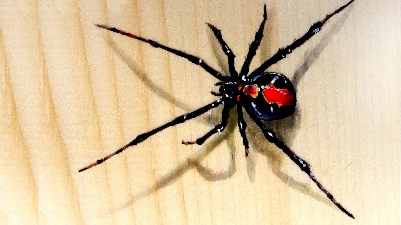 Spider Painting at PaintingValley.com | Explore collection of Spider ...