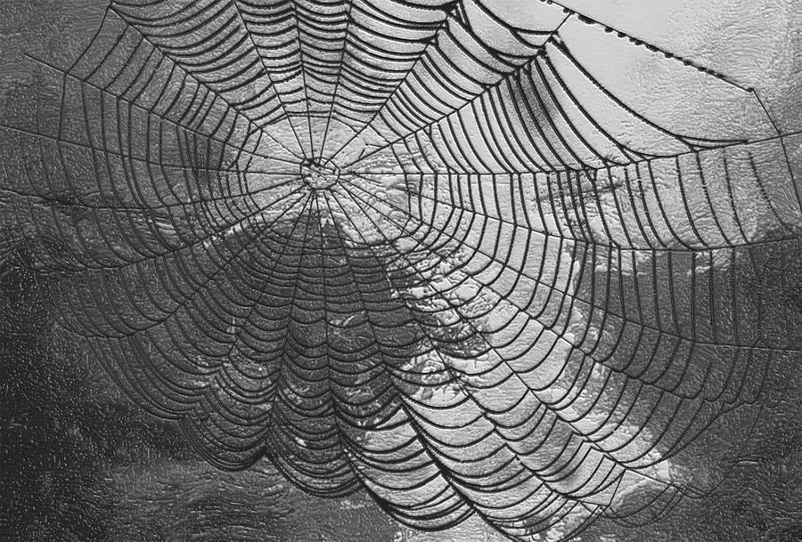 Spider  Painting at Explore collection of