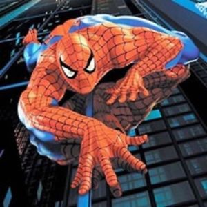 300x300 Spiderman 5d Diy Diamond Painting Ebay - Spiderman Painting
