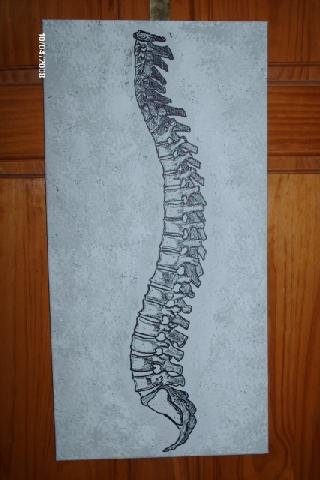 320x480 - Spine Painting