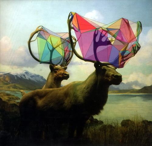 500x482 Spirit Animal Quiz - Spirit Animal Painting