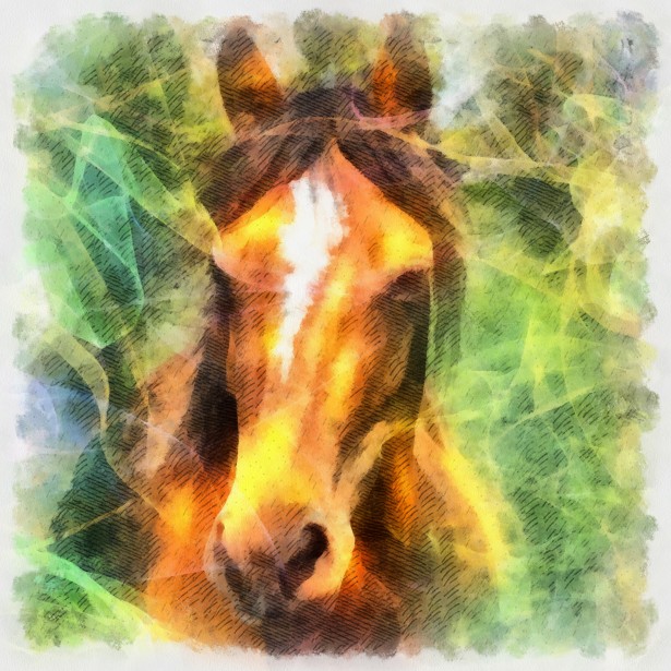615x615 Meaning Of The Spirit Guide Power Totem Animal Horse Ambers - Spirit Animal Painting