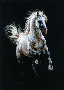 220x310 Jennifer Marshall - Spirited Horses Painting