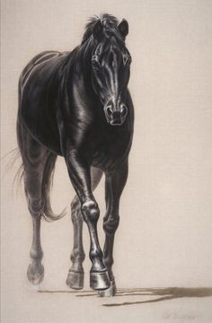236x360 Renegade - Spirited Horses Painting