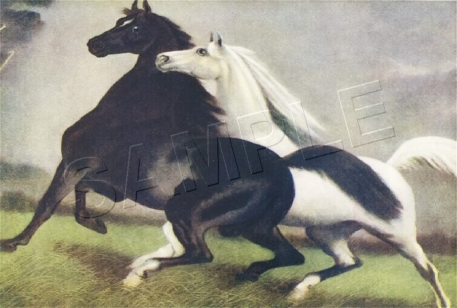 925x624 Spirited Horses - Spirited Horses Painting