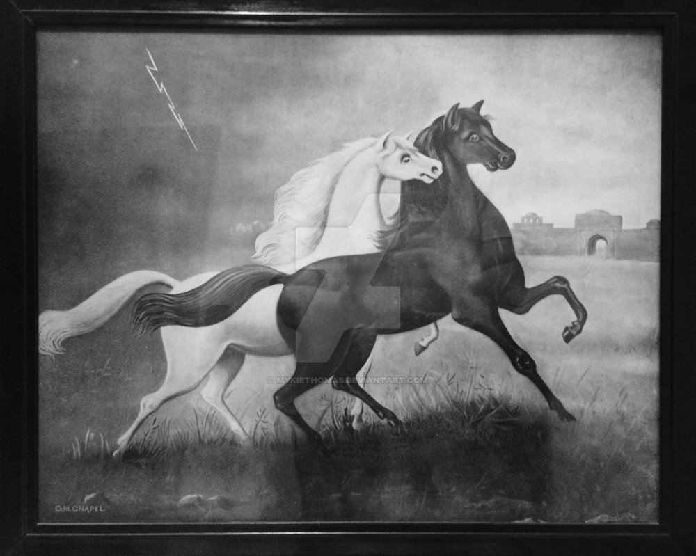 1000x799 Wild Arabians - Spirited Horses Painting