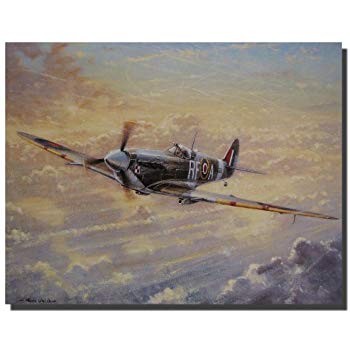 350x350 Spitfire Painting Military Airplane Aviation Wall - Spitfire Painting